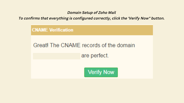 Domain Setup of Zoho Mail