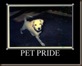 PETPRIDE