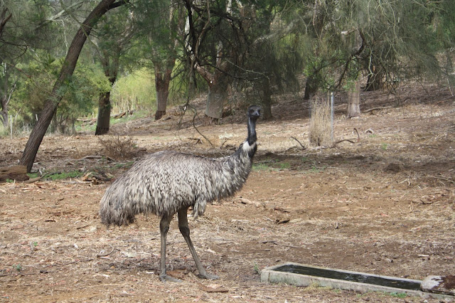 Tower Hill, Warrnambool