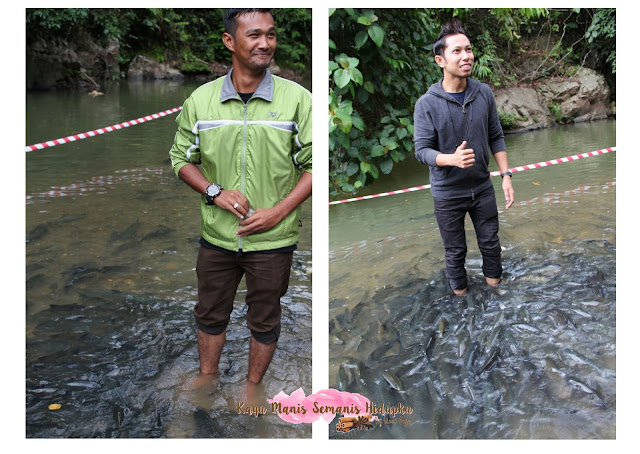 Tagal Spa Fish, Sg Morolo, Kg Luanti Baru, Ranau