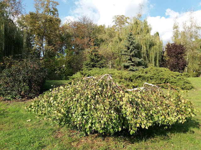 Парк Слави (Ювілейний), Кременчук