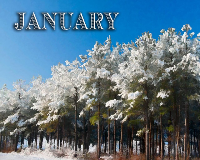 January-2011