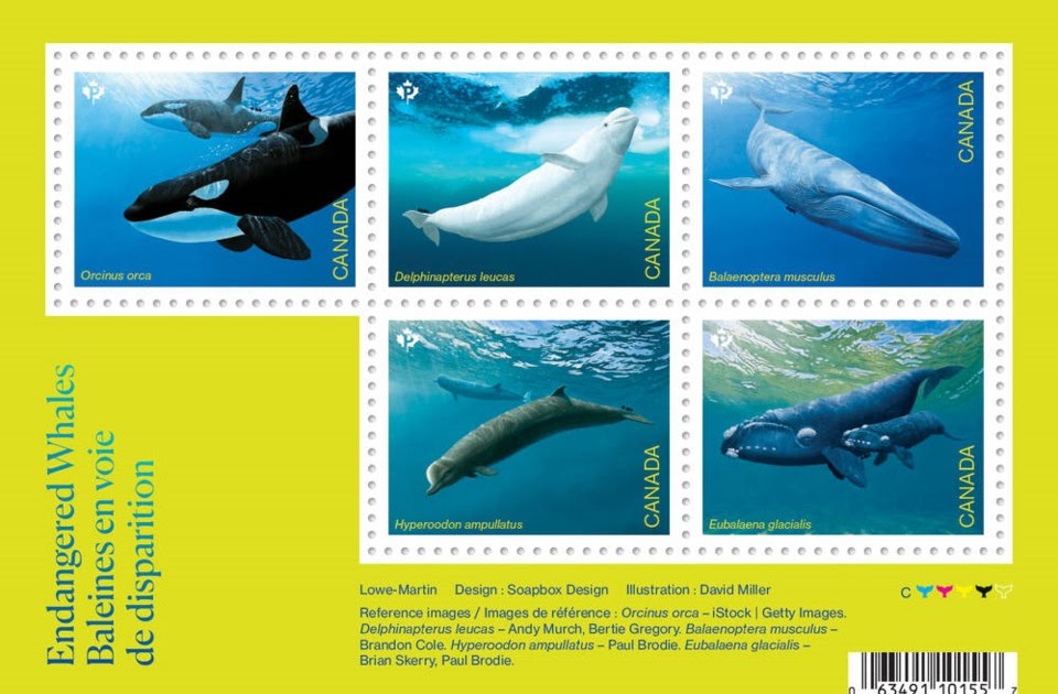 History Through Philately World Whale Day