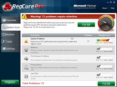 RegCure Pro-detected result