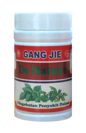 Gang Jie