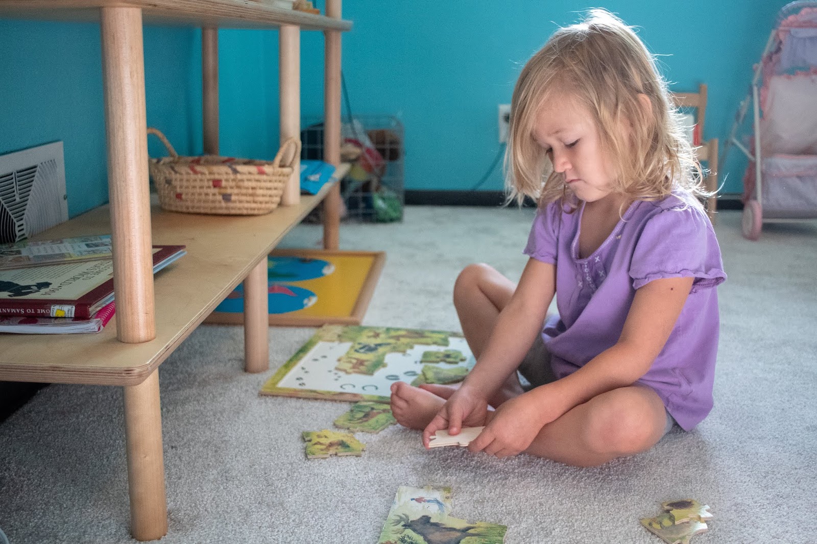 Puzzles for Preschoolers 