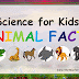 Science for Kids: Animal Facts