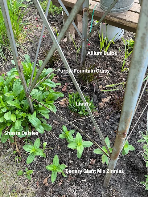 Photo of a garden planting diagram.