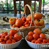 Cloudy Day Tomato Soup