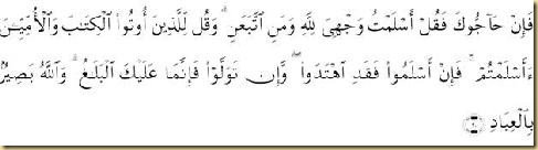 clip_image002