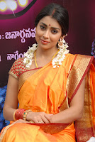 Gorgeous, Shriya, @, Pavithra, Movie, Launch