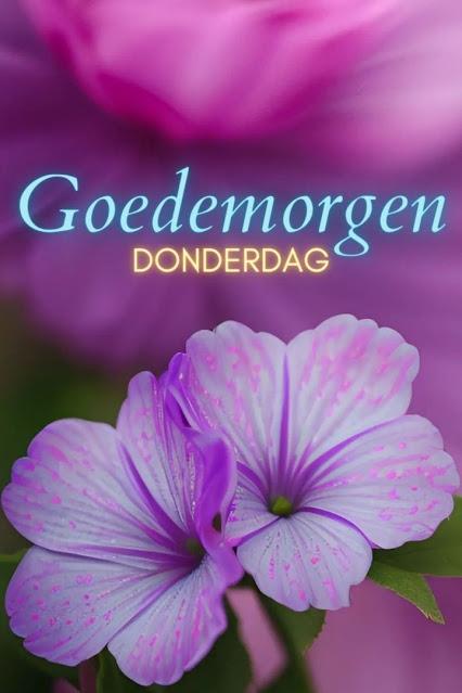 Goedemorgen Donderdag