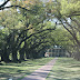Oak Alley Plantation