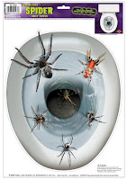 spiders on a toilet seat