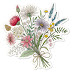 Botanical Stickers: The Art of Plant Illustrations and Their Role in Decor and Creative Projects
