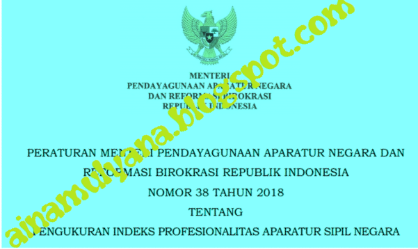  Peraturan Menpan atau Permenpan RB Nomor  PERMENPAN RB NOMOR 38 TAHUN 2018 TENTANG PENGUKURAN INDEKS PROFESIONALITAS APARATUR SIPIL NEGARA