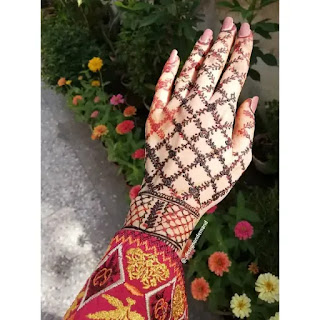 Net_with_leaves_henna_design