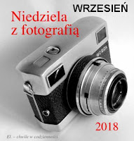http://misiowyzakatek.blogspot.com/2018/08/niedziela-z-fotografia-wrzesien.html