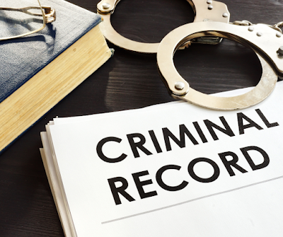 best criminal defense attorney Ann Arbor