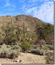 Jan 22 hike 020