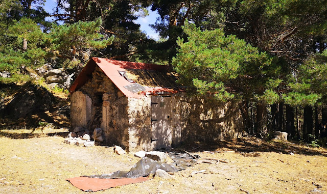 AlfonsoyAmigos - Fuente Arteseros