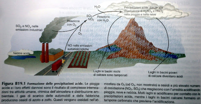 Il problema delle piogge acide