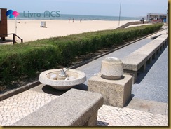 Blog Gazeta de Espinho004Livro MCS
