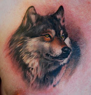 Realistic color wolf tattoo