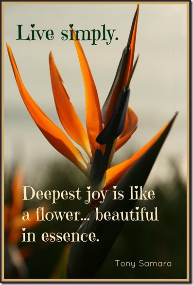 Deepest Joy Is Like…