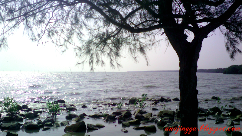 Pantai di Sabak Bernam