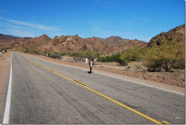 03-25-16 RT Emerald Cove Oatman EC (23)