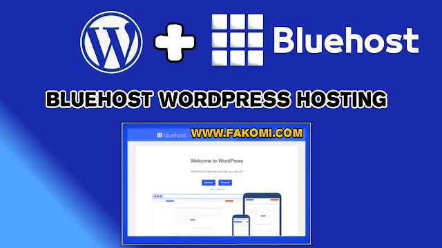 Bluehost WordPress Hosting: Why is it the best Provider (And How To Use It)