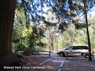 My Van at Bidwell Park in Chico, CA in the Redwood Grove - Picnic Area 37