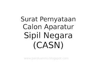 SURAT PERNYATAAN casn