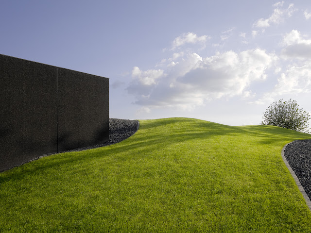 Photo of fresh green grass by the house