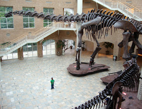 Fernbank Museum of Natural History 