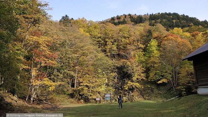 IMG_20181010_135303 IMG_20181010_135303