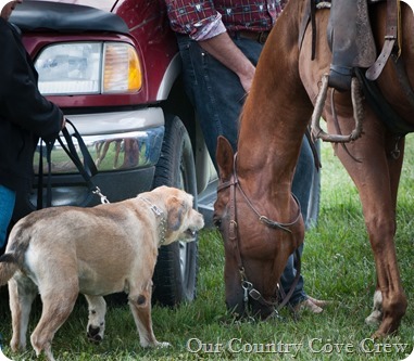 miggy meets horse (1 of 1)