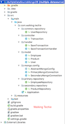 MongoDB multi data source example project structure