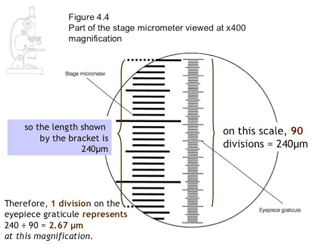 Principle of Micrometry