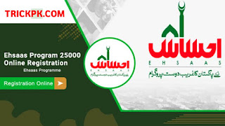 Ehsaas Program 25,000 Online Registration Apply Here