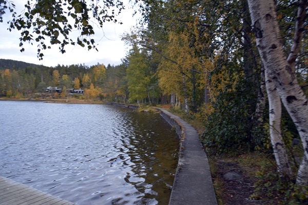 Store røstjern Ringkollen Jaklefoss