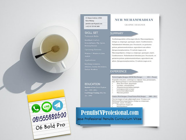 Jasa Desain CV