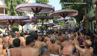 Ippasi Thirumoolam,Sattrumurai, Manavala Maamunigal,Purappadu,2016, Video, Divya Prabhandam,Triplicane,Thiruvallikeni,Utsavam,