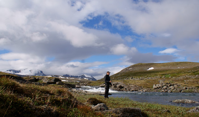 Dovrefjell-Sunndalsfjella nationalpark