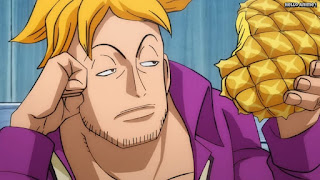 ワンピースアニメ 1014話 マルコ パイナップル  Marco the Phoenix | ONE PIECE Episode 1014