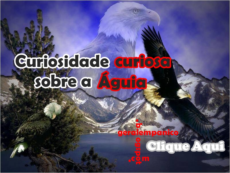 Imagem1.jpg