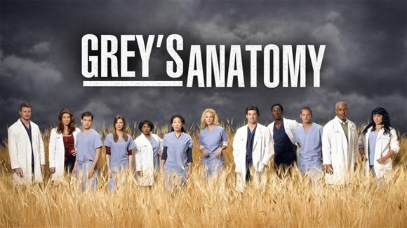 Download Grey’s Anatomy - 6 Temporada