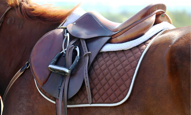 Introduction to saddle and bridle