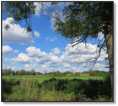 Ausblick vom Gutspark